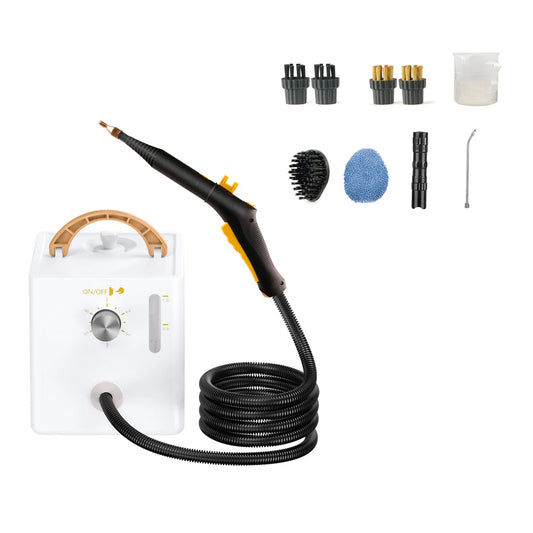 Electric High Temperature and Pressure Steam Clean